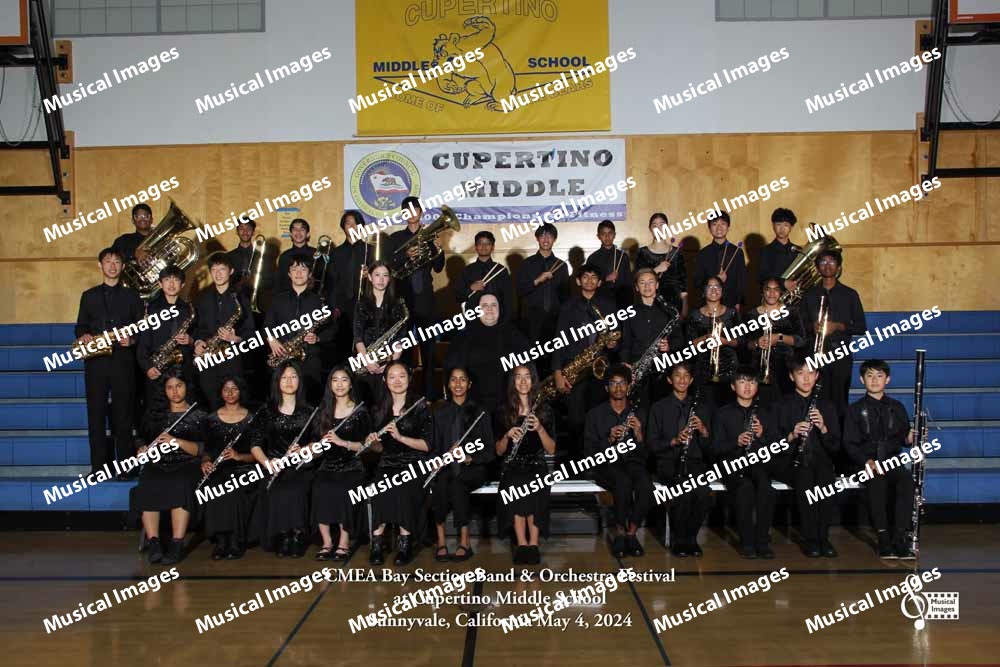 Musical Images